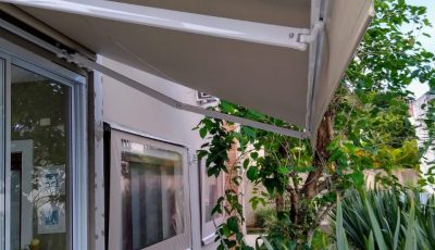 d4a06ad2-7e7a-4f93-b459-d9410b0a9bf2 2